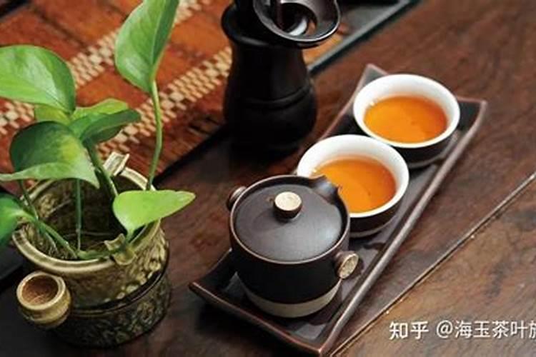 茶叶可不可以做肥料 茶叶可以做肥料吗