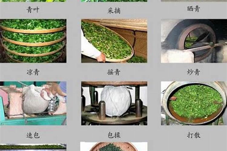 茶叶施磷肥选什么肥