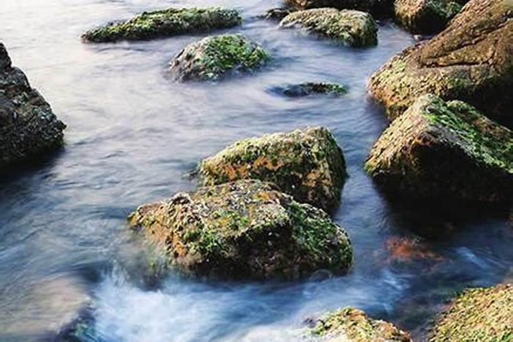 海水的主要成分