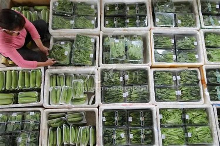 蔬菜叶面肥有哪些品种