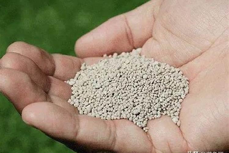 水稻施磷酸二氢钾叶面肥需要作水吗？打叶面肥排干水吗