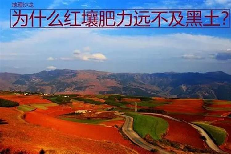 黑土地和热带雨林土地理论上哪个肥沃？