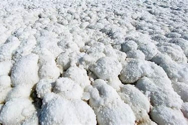 钾盐钾肥氯化钾的关系