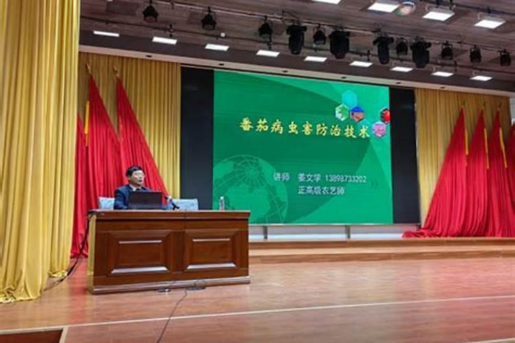 柿子树最好的肥料是什么？