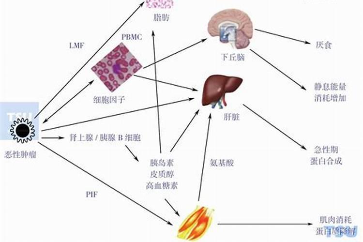 史上有哪些曾风靡一时后来被证明是有严重危害的东西？