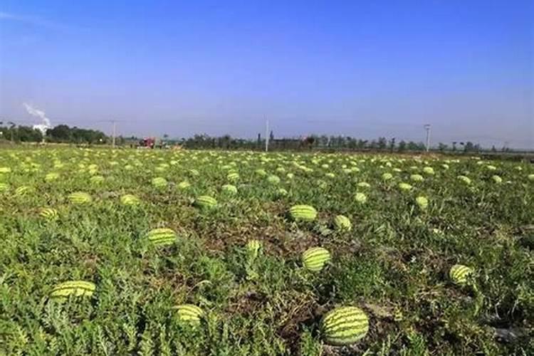 复合肥料(含硝酸磷钾)国家强别执行标准是GB15O63一2OO9吗？