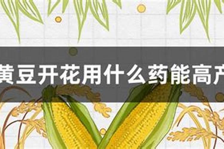 大豆花打什么叶面肥好？