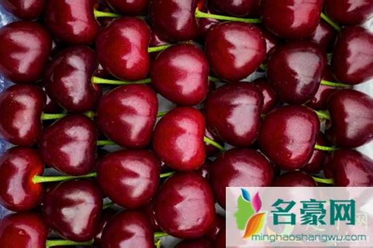 茉莉花除施硫酸亚铁还施什么肥料？