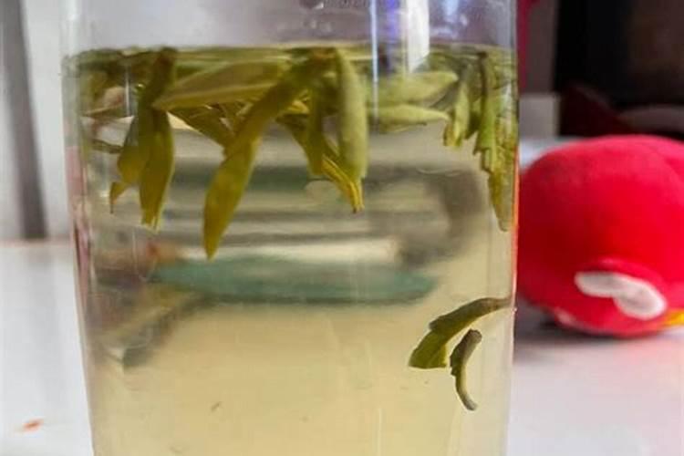 乌龙茶对人有什么好处吗？