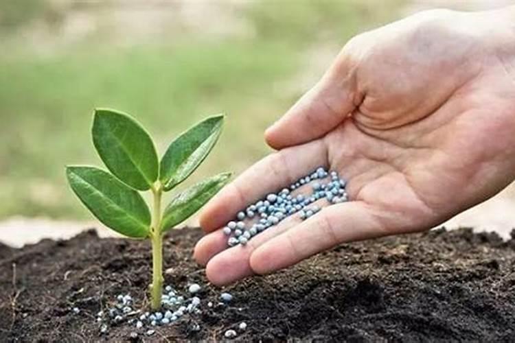 如何辨别土壤类型和肥力？不同种类的土壤怎么施肥？