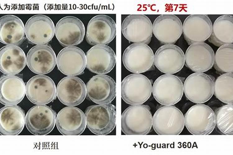 水草泥能养花吗 苔藓、生石灰、咖啡渣可以做肥料吗