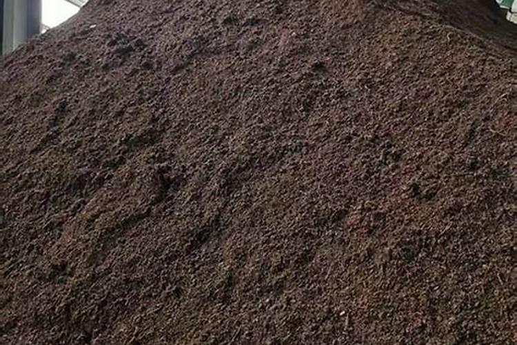 给花施肥后多久浇水 花施肥后几天浇水最合适？