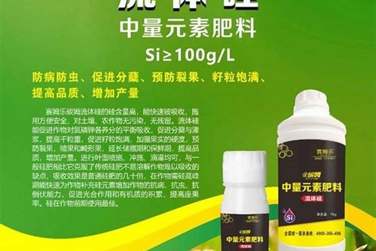 土豆能打芸苔素吗