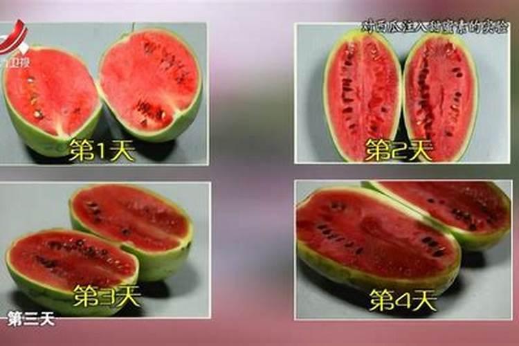 求教各位君子兰这是怎么了