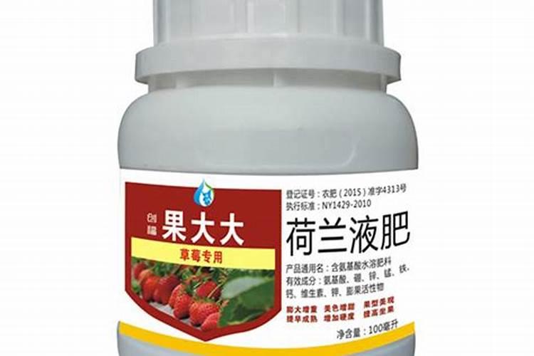 荷兰铁的养殖方法和注意事项