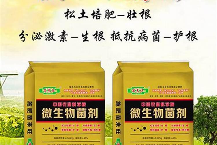 什么肥料可以催芽苗