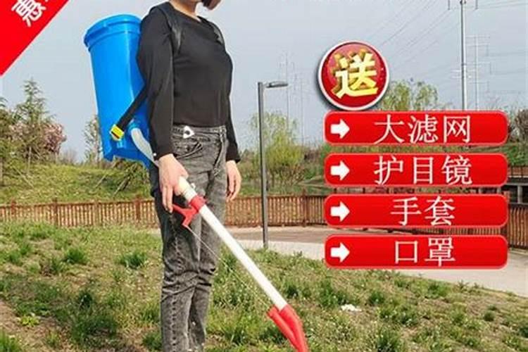 大葱价格再次上涨,为什么只有大葱的价格上涨了呢？