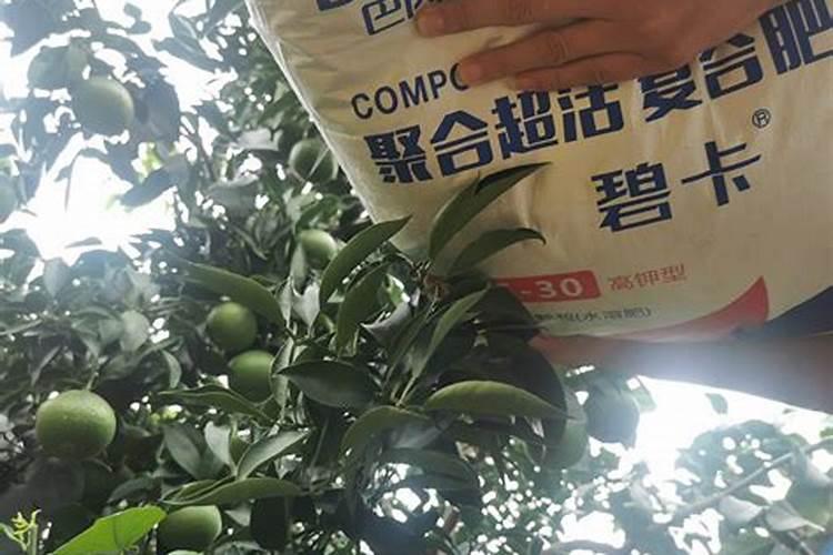 柑橘开春用什么肥料