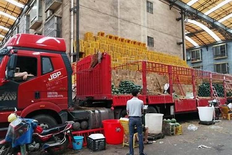 合肥最大的水果批发市场是哪里