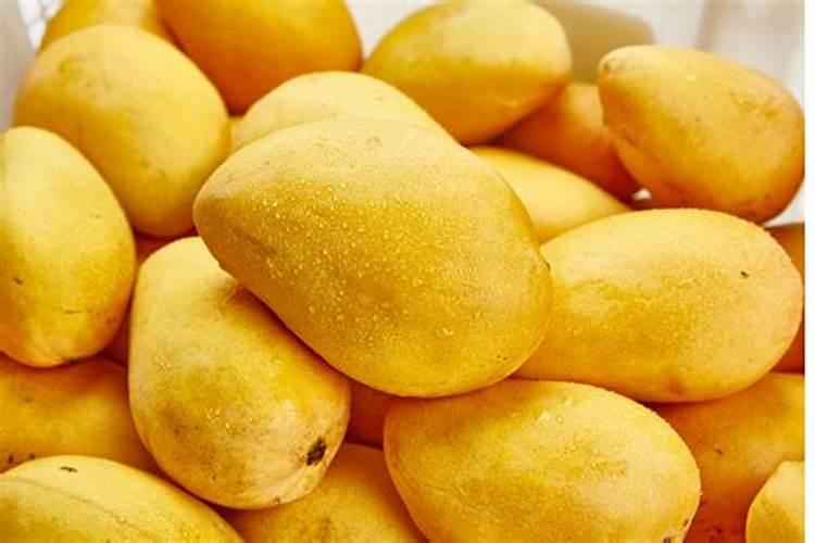 芒果膨大的方法是什么？需要给芒果打叶面肥吗？