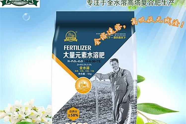桃树可以写枝干花还能写点什么