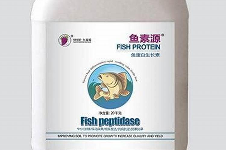 葡萄树如何施肥葡萄树的施肥方法
