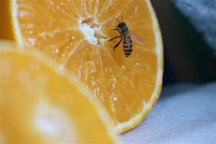 高梁在什么时候打叶面肥促早熟？