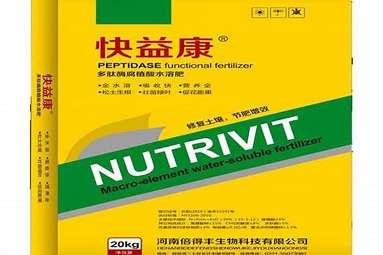 种空心菜的时候,怎样做才能让它长得快一些？