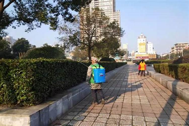 打完石硫合剂什么时间可以打磷酸二氢钾和其它的叶面肥？