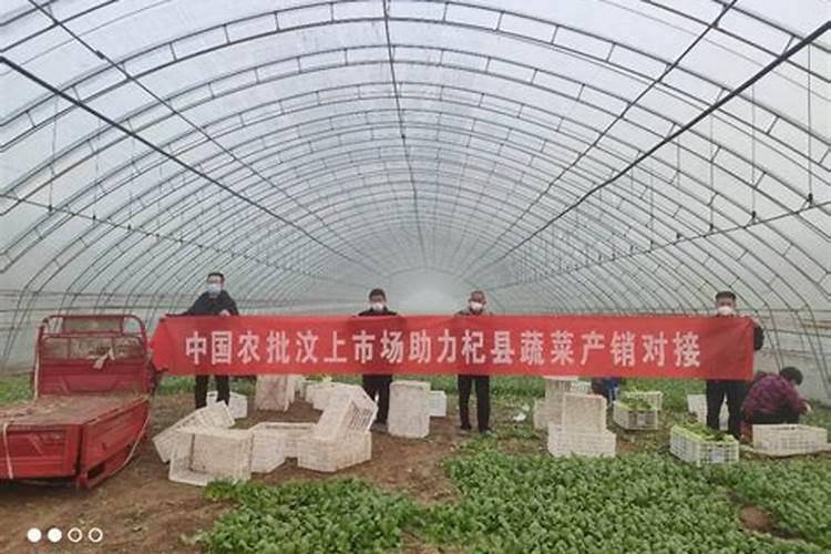 济宁批发卫生纸哪里最便宜