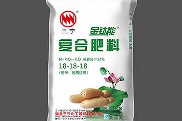 种植莲子赚钱吗