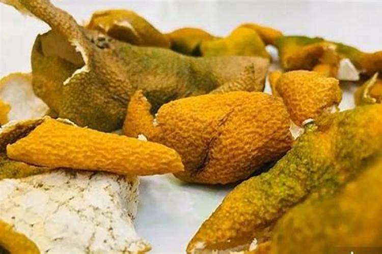 橘子埋土里会破坏土壤结构吗？
