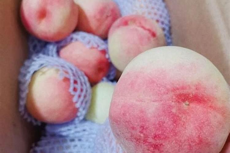桃树用什么肥料桃子甜 施肥注意事项有哪些