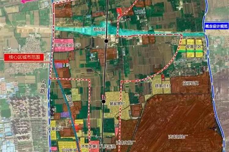 落地生根为什么长不大,造成落地生根长不大的4个原因