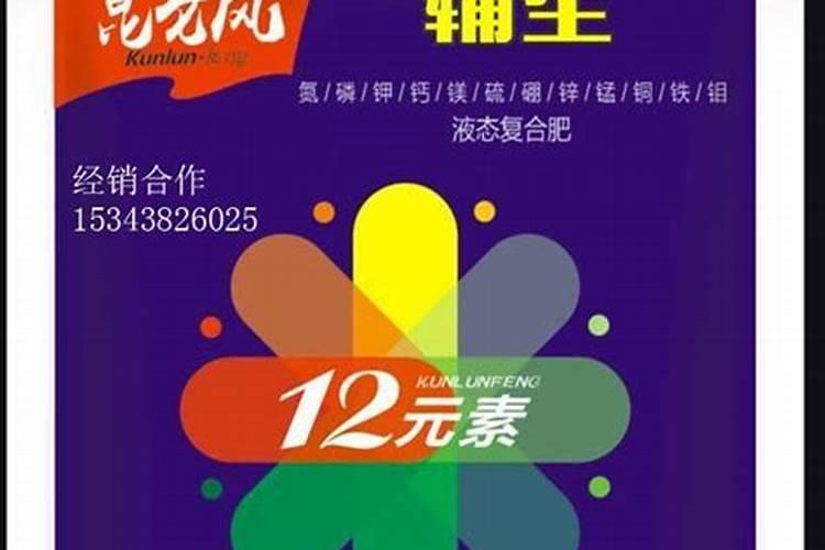 桑葚树怎么施肥