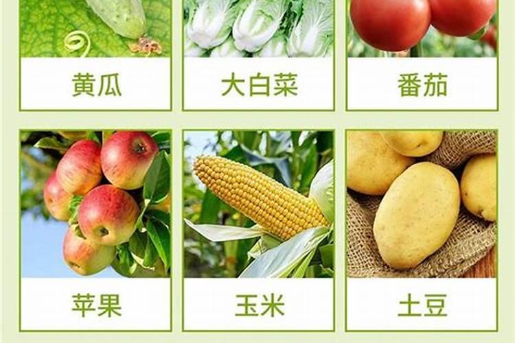 叶面肥喷施后几天见效