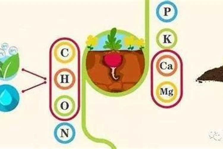 硫酸工业在国民经济中占有极其重要的地位。(1)硫酸的最大消费渠道是化肥...