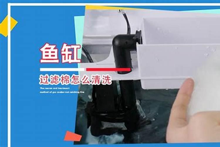 使叶面深绿的叶面肥,使叶色浓绿的是什么肥