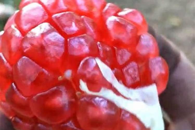 葡萄花芽分化时应多施什么肥料