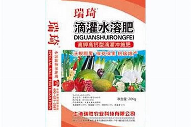 广东种牡丹能开花吗？