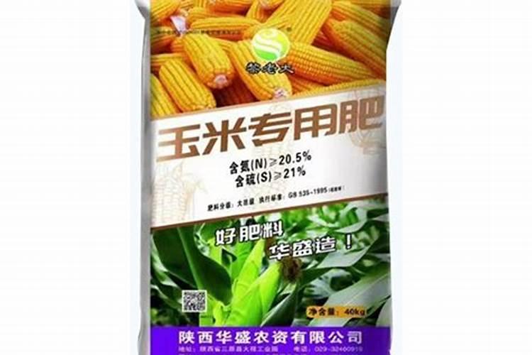 杨梅施钾肥什么时候最好？