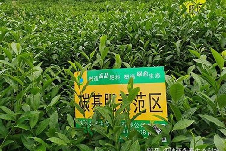 平衡水溶肥配方