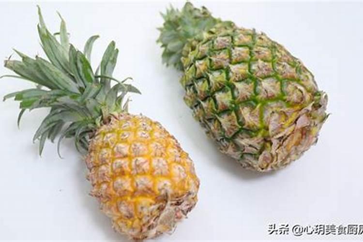 台湾风梨17号如何种植
