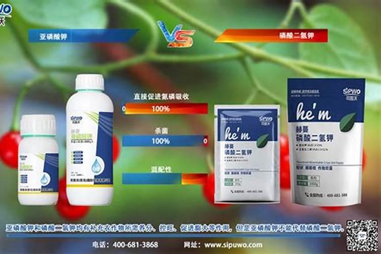 马蹄喷亚磷酸钾还是喷安基酸水溶肥好
