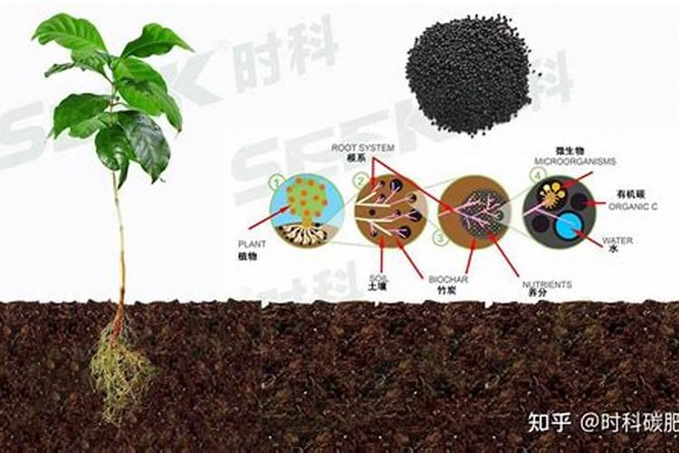 生产氮化肥的主要污染是什么