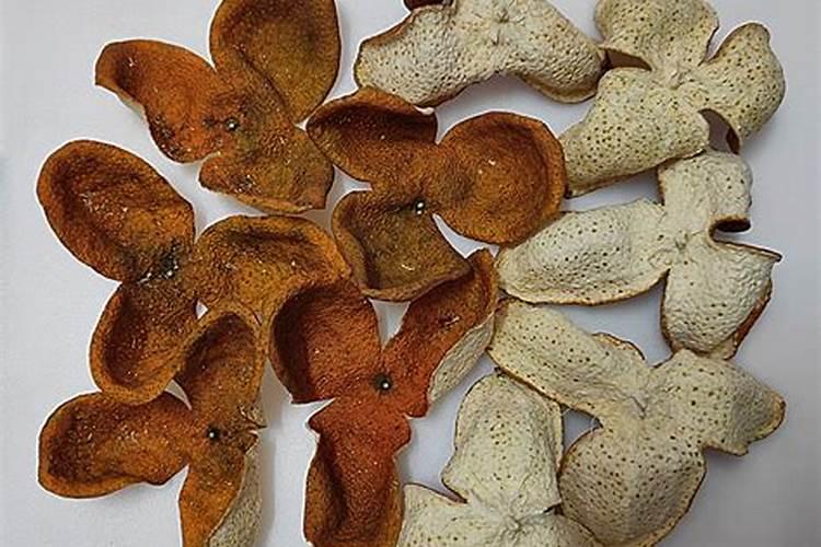 陈皮柑的种植技术与管理方法