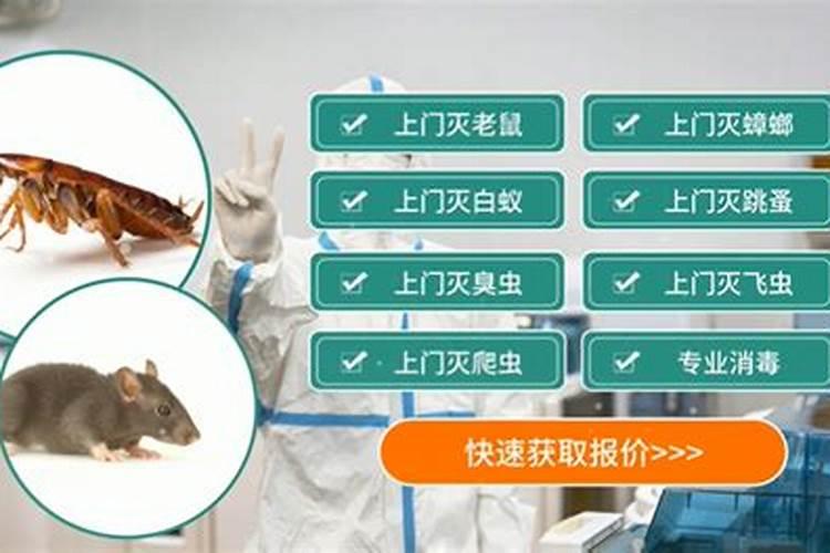 自制磷肥有哪些