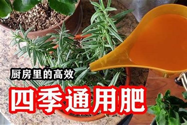 钾肥的制作方法