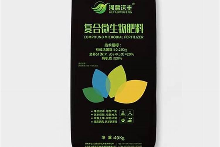 什么是dha藻油？