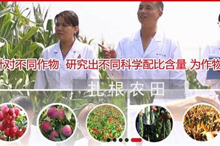 生产水溶肥料需要办理什么证件手续